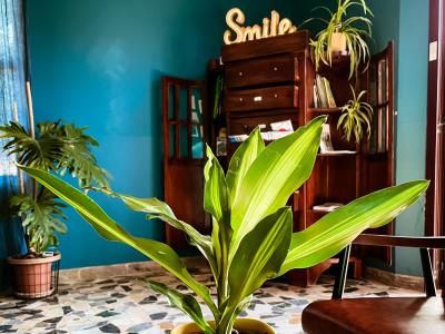 hotelfraipini it offerta-per-fiera-ecomondo-in-hotel-a-rimini 015